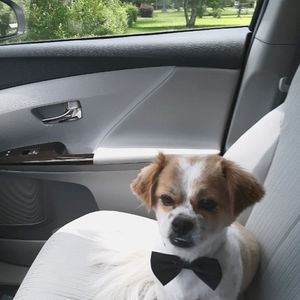 All offers considered